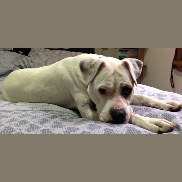Photo of Trix