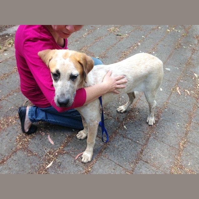 Photo of Otis   Special Needs