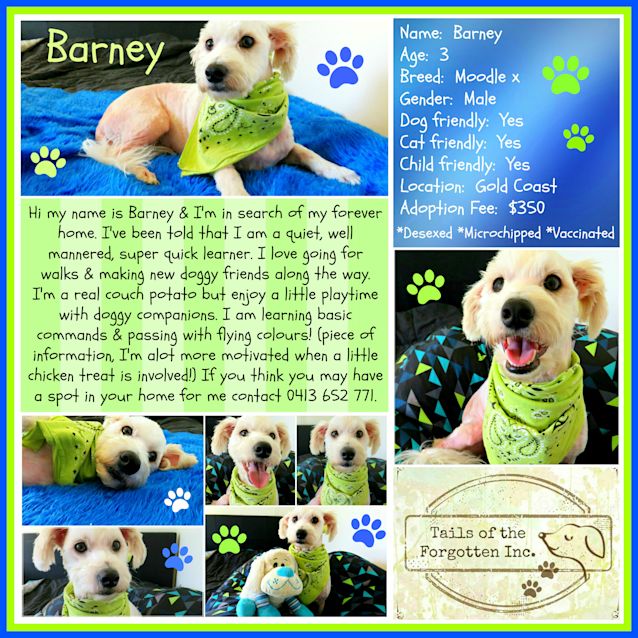 Photo of Barney