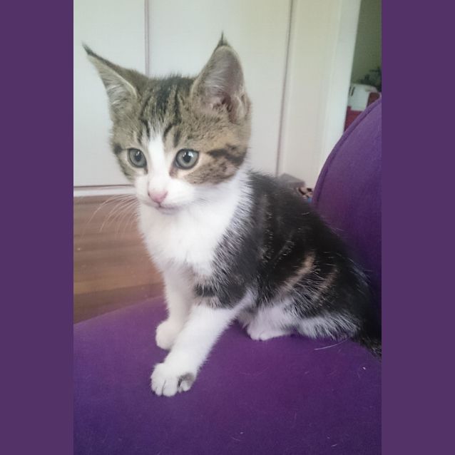 Photo of Lockie