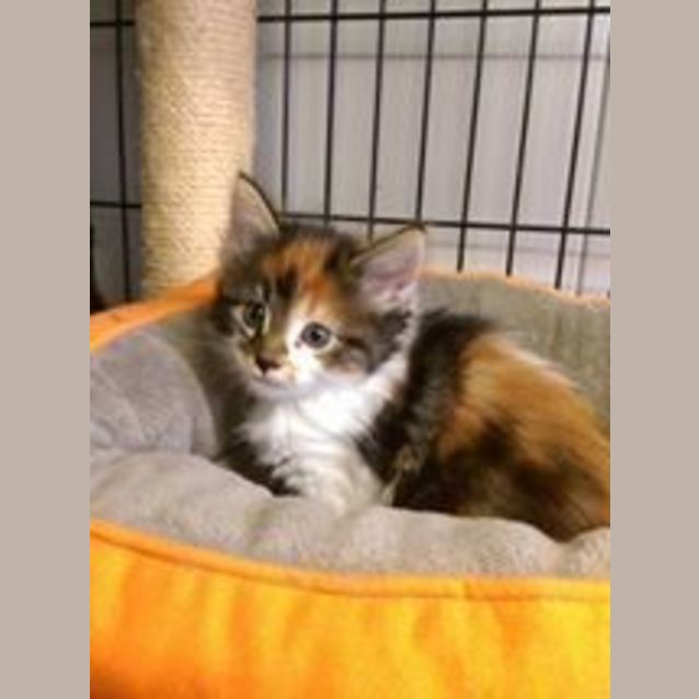 Photo of Teeny