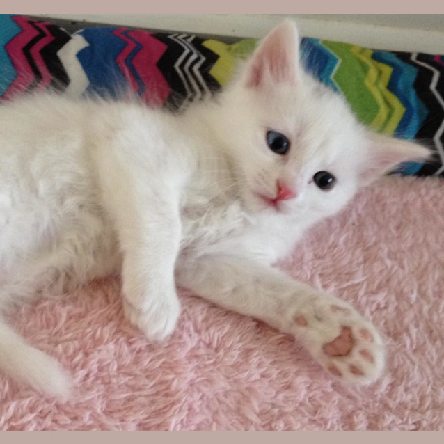 Photo of Nellie