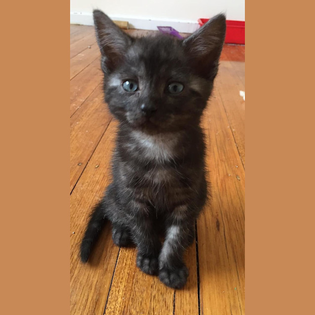 Photo of Stark