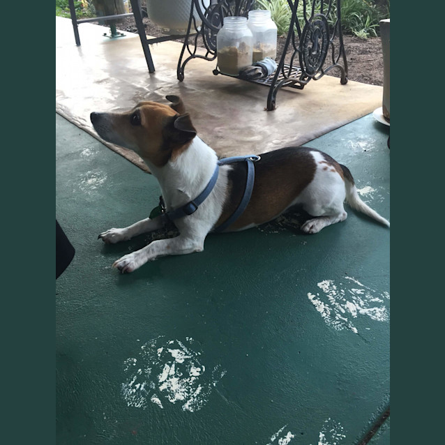 Photo of Charlie Av870