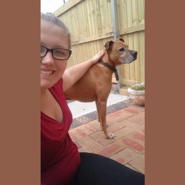 Photo of Boston ~ Adopted May 2017