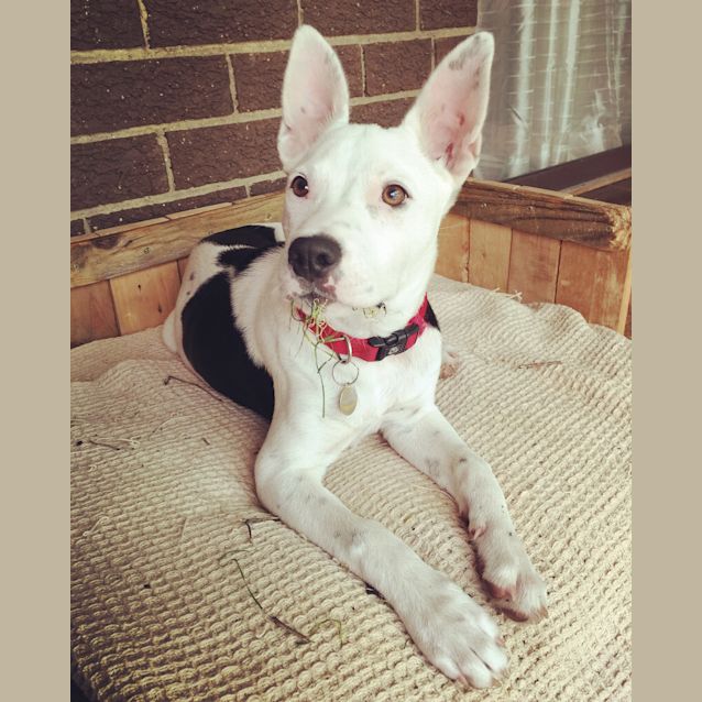 Photo of Miss Daisy Pickle