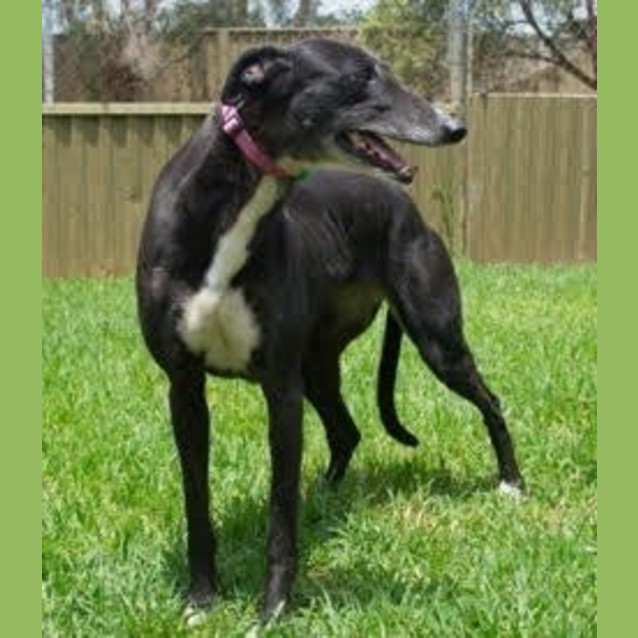 Photo of Kelly Is Checking Out Her New Home