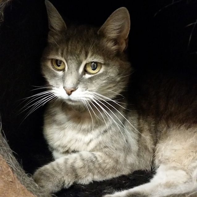 Photo of Cinders