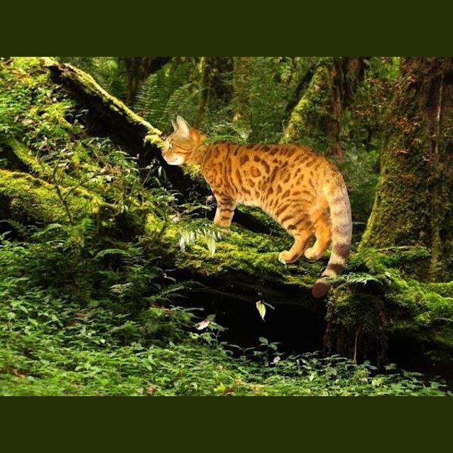 Photo of Bobby