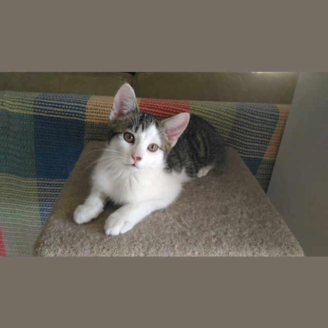 Photo of Gatsby