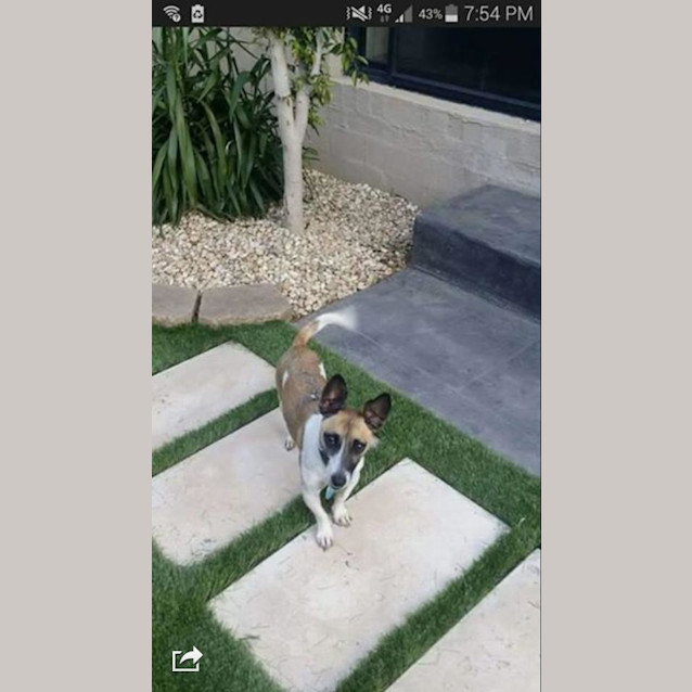 Photo of Axle