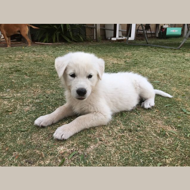 Photo of Elira