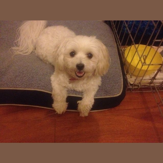 Photo of Sailor Jane