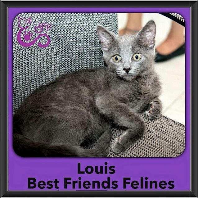 Photo of Louis 