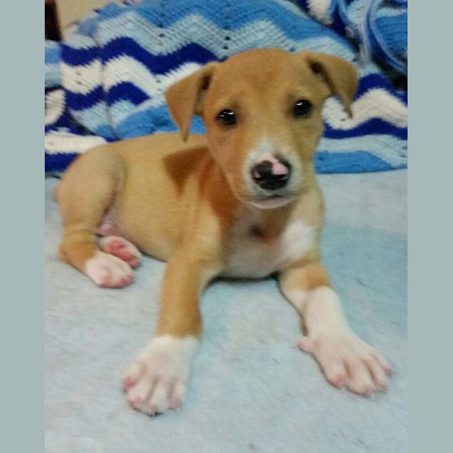 Photo of Jacky Boy 