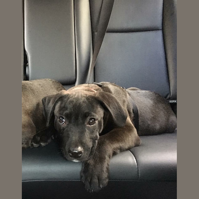 Photo of Apollo 