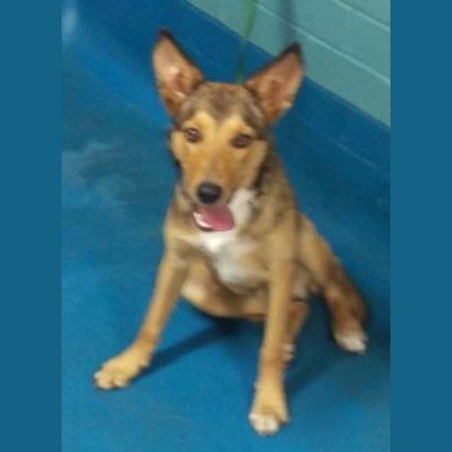 Photo of Cisco