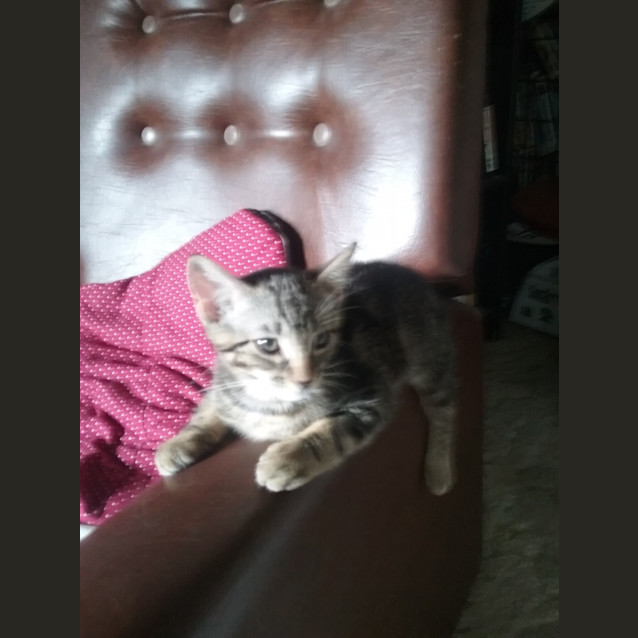 Photo of Charlie