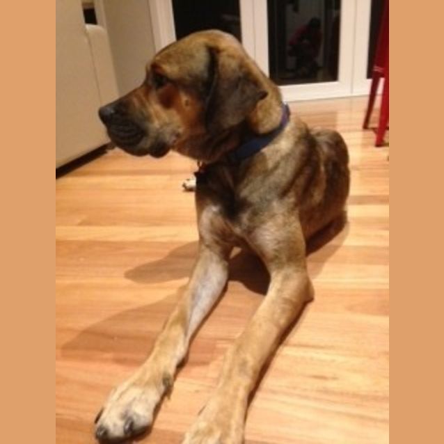 Photo of Hudson