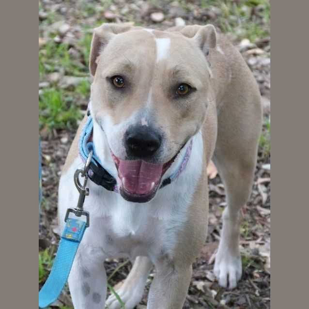 Photo of Annie (A Most Gentle Young Girl)