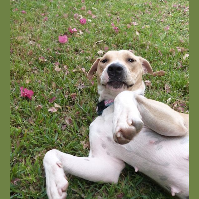 Photo of Annie (A Most Gentle Young Girl)