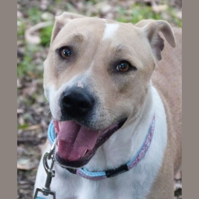 Photo of Annie (A Most Gentle Young Girl)