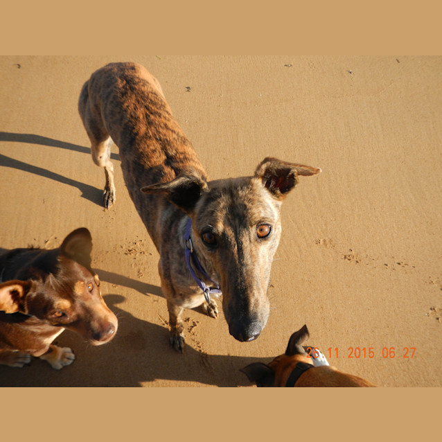 Photo of Elsie