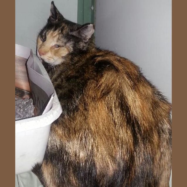Photo of Margo