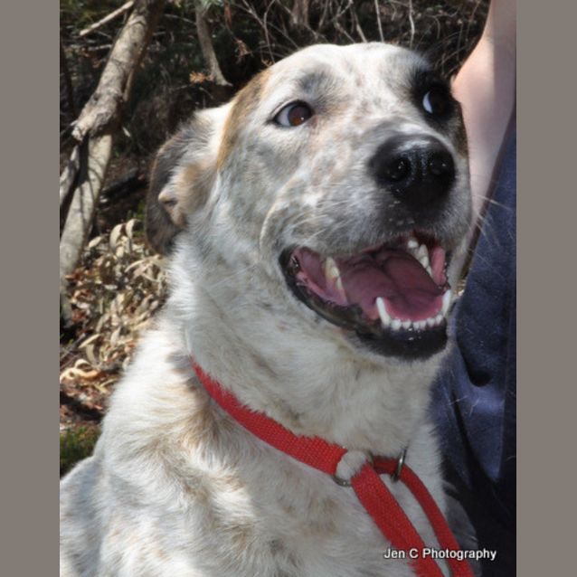 Photo of Maisy