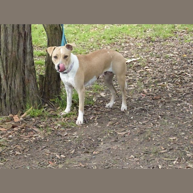 Photo of Annie (A Most Gentle Young Girl)