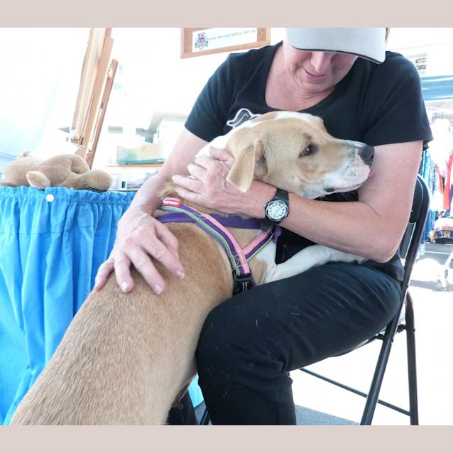 Photo of Annie (A Most Gentle Young Girl)