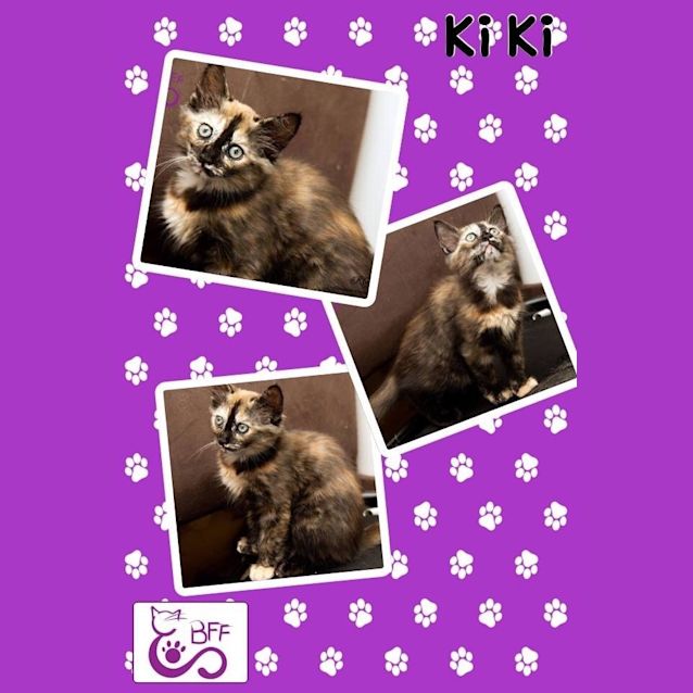 Photo of Ki Ki