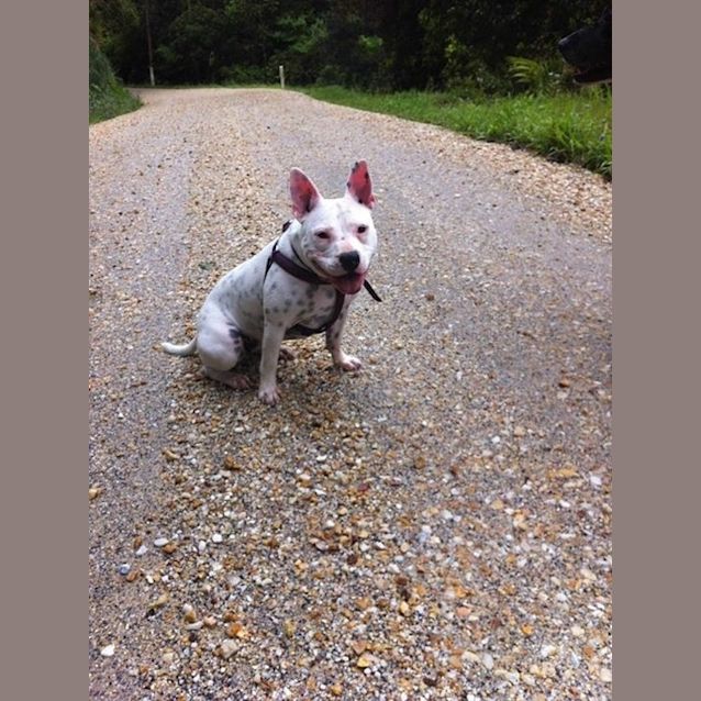 Photo of Luna