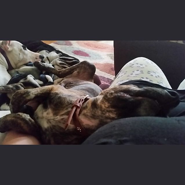 Photo of Charlie