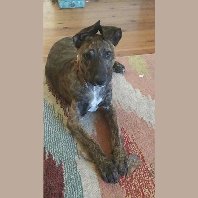 Photo of Charlie