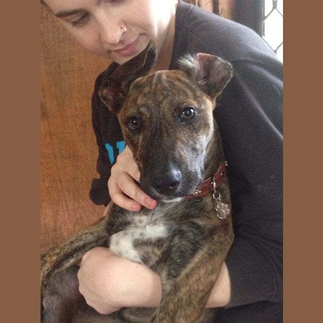 Photo of Charlie