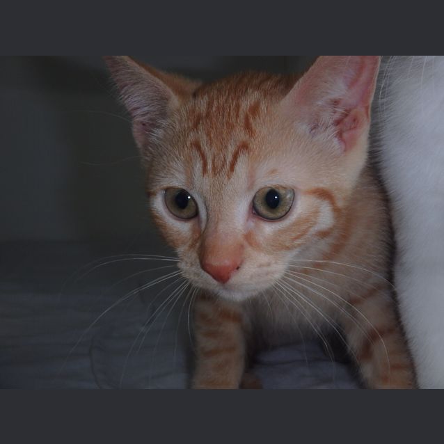 Photo of Tia