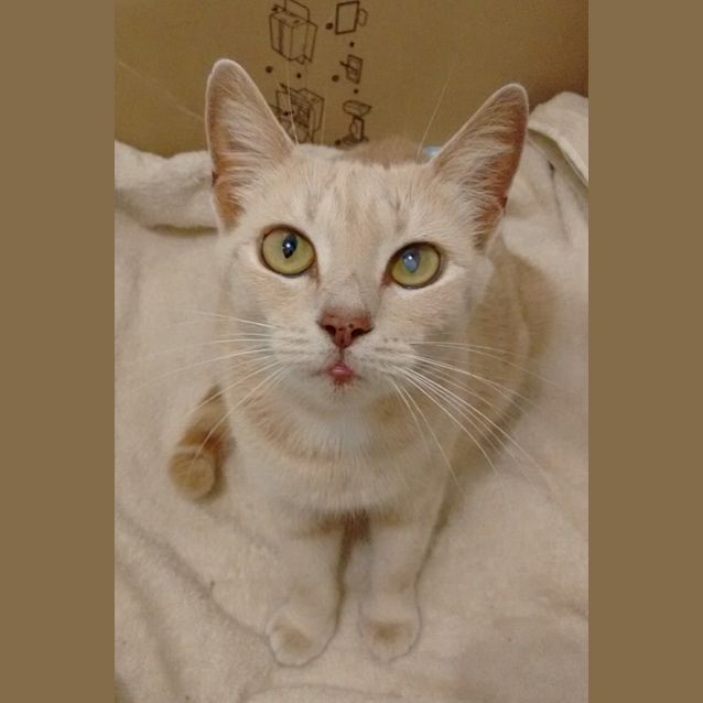 Photo of Momo