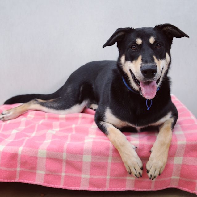 Photo of Maya