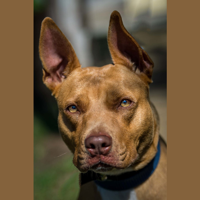 Photo of Lilly
