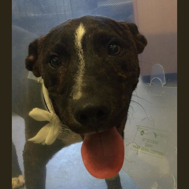 Photo of Cash