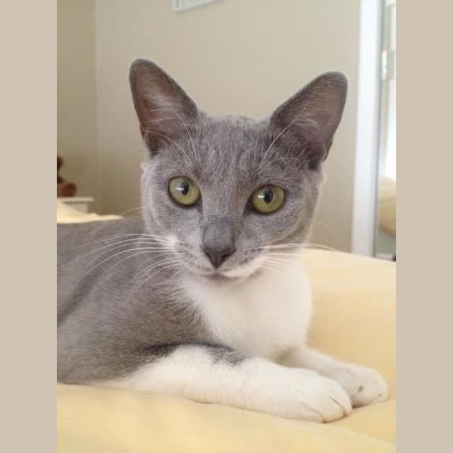 Photo of Claudette