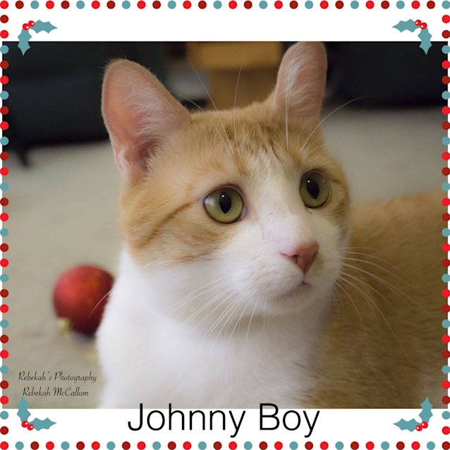 Photo of Johnny Boy