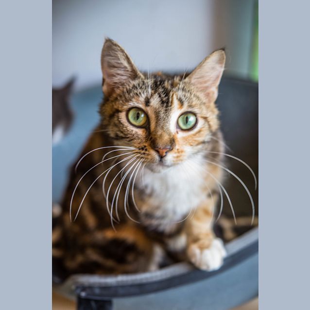 Photo of Sienna (5188)