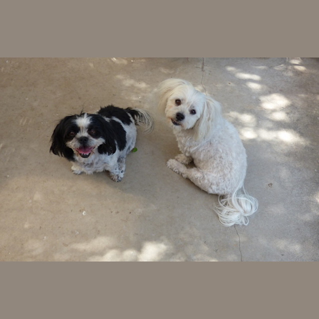 Photo of Sophie Jasper