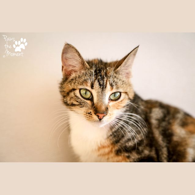 Photo of Sienna (5188)