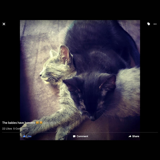 Photo of Lucky