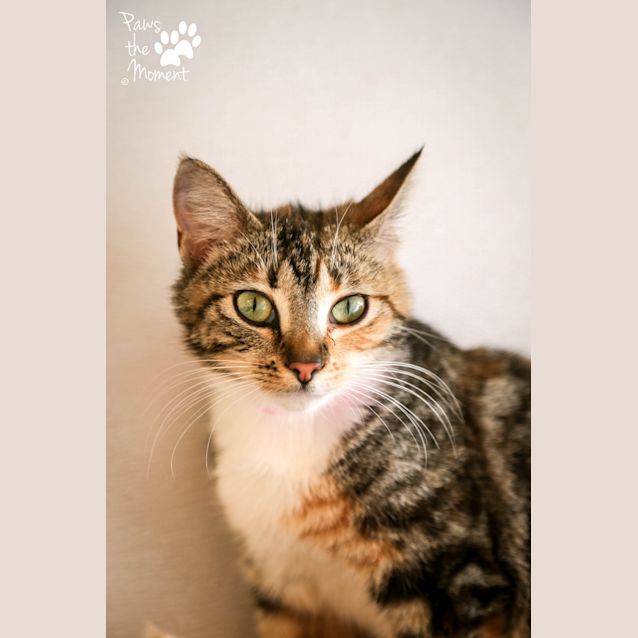 Photo of Sienna (5188)