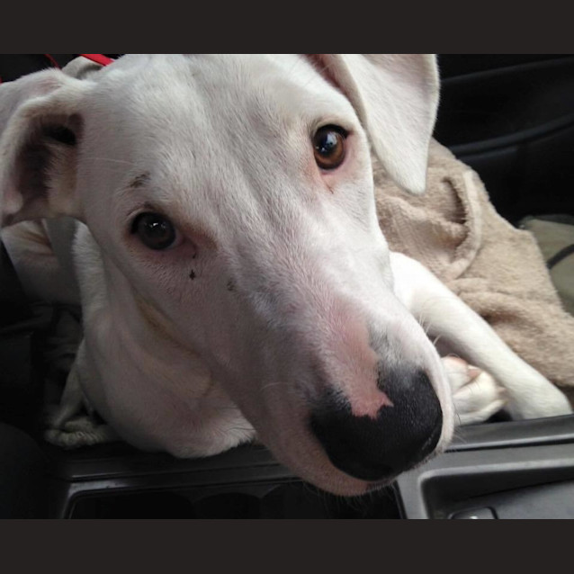 Photo of Holly