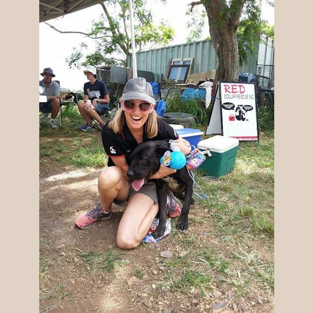 Photo of Toby (Adoption Pending)